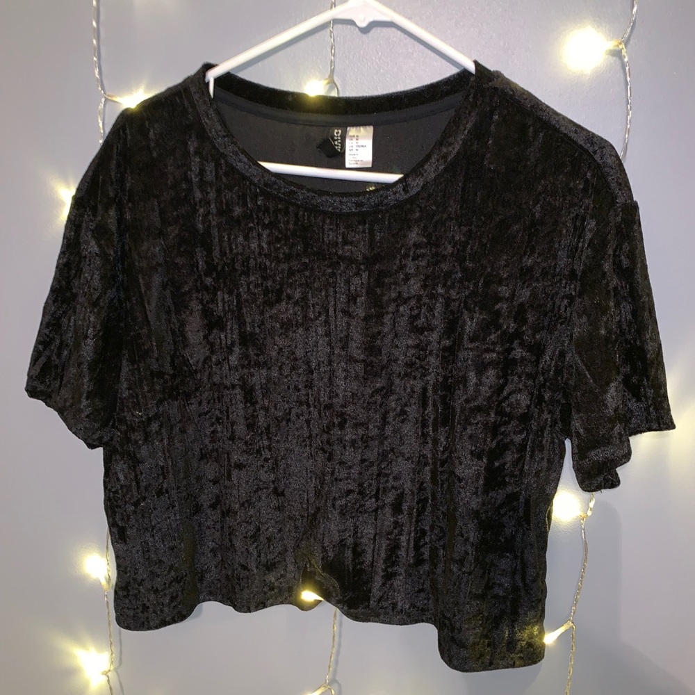 Velvet Crop Top